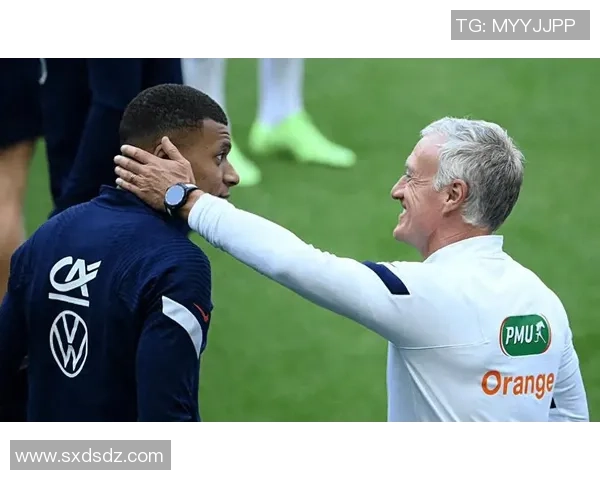 法国足球队球星在欧洲杯赛场上的精彩表现与荣誉之路 法国足球队球星在欧洲杯赛场上的精彩表现与荣誉之路