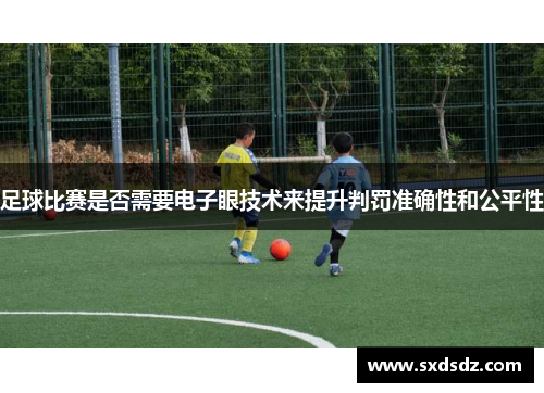 足球比赛是否需要电子眼技术来提升判罚准确性和公平性