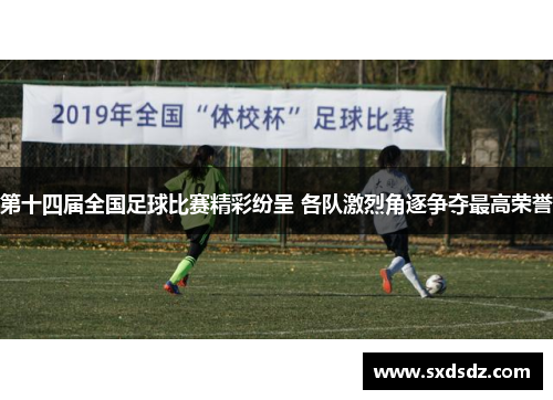 第十四届全国足球比赛精彩纷呈 各队激烈角逐争夺最高荣誉