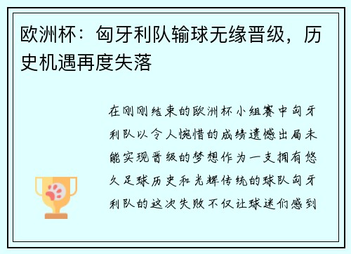 欧洲杯：匈牙利队输球无缘晋级，历史机遇再度失落